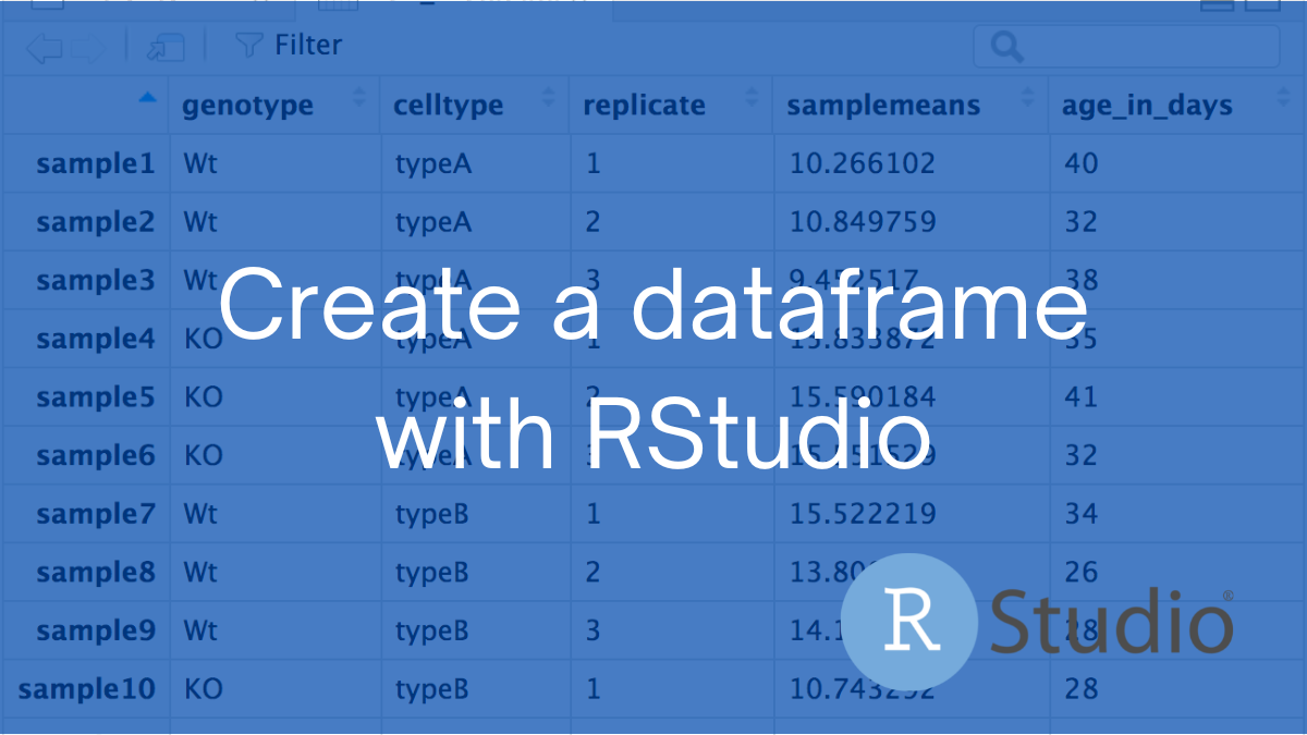 Create a data frame with RStudio Rstudiodata